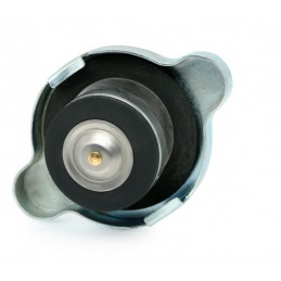 TAMPÃO RADIADOR H-10